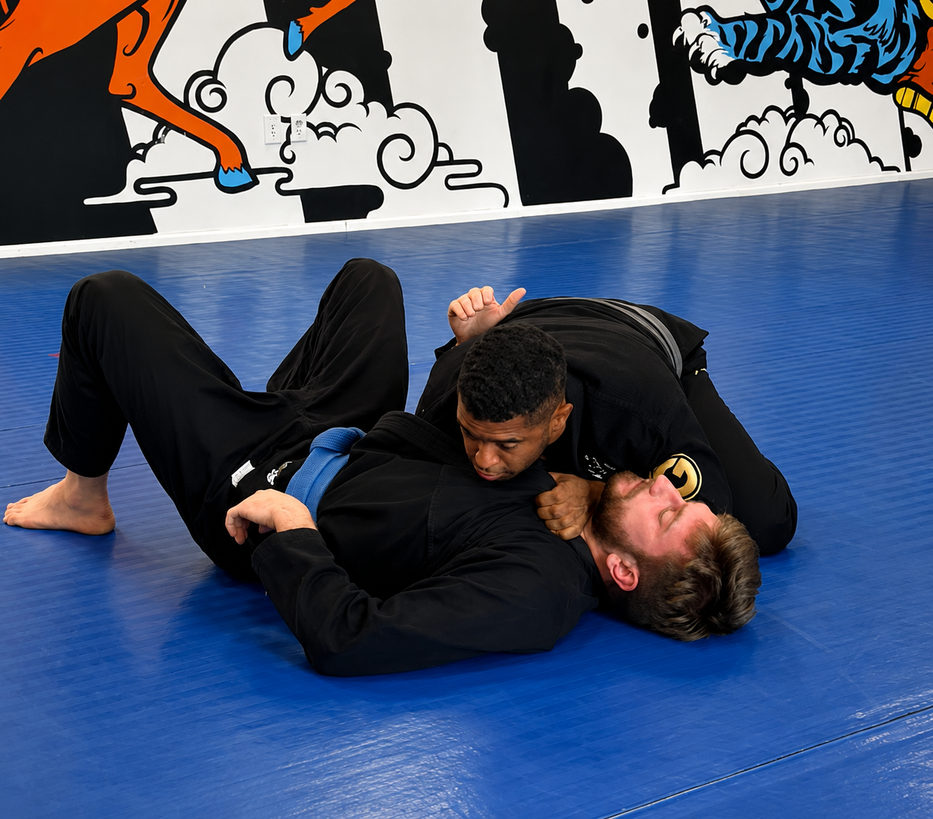 BJJ Classes Near Me